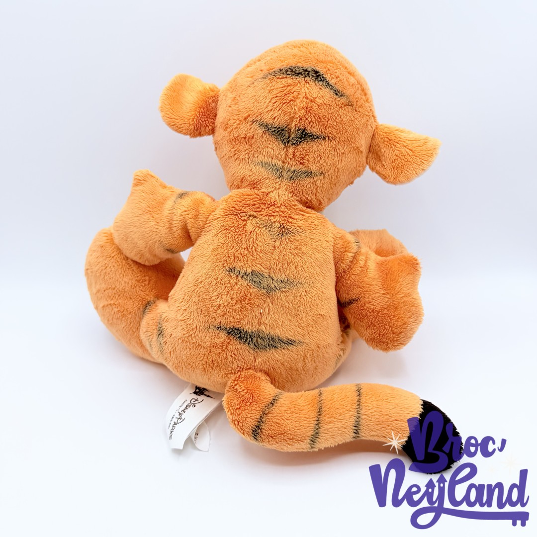 Peluche-Tigrou-Big-Feet-Disney-Parks-2017-Disneyland-Paris-Winnie-ourson-25-cm (1)