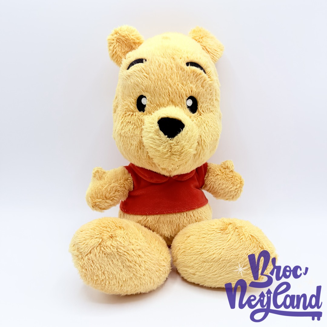 Peluche-Winnie-Ourson-Big-Feet-Disney-Parks-2017-Disneyland-ours-jaune-25-cm (3)