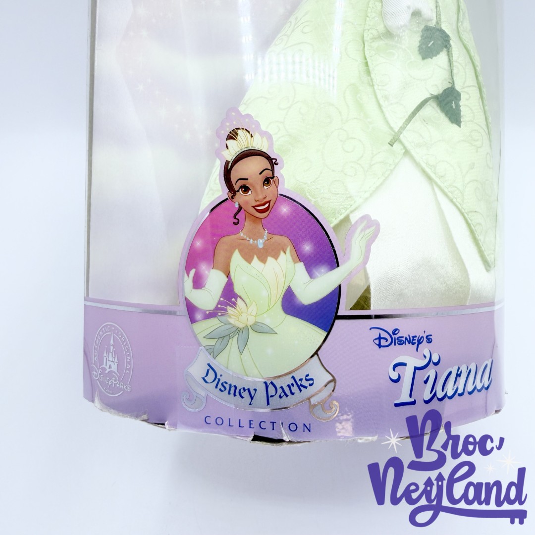 Poupée-Tiana-La-Princesse-et-la-Grenouille-Disney-Parks-Collection-princesse-boite (5)