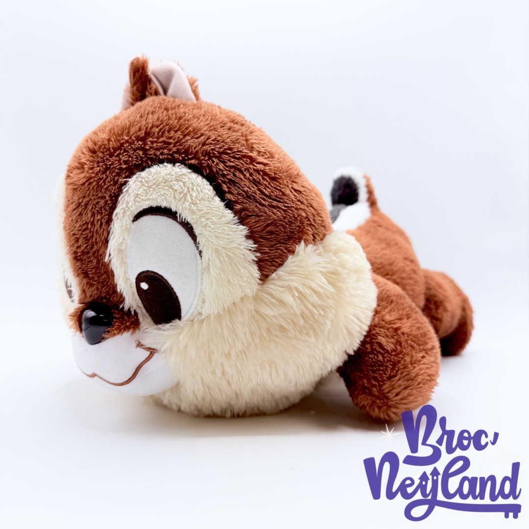 Peluche-Tic-et-Tac-Disney-SEGA-Japon-écureuil-marron-dort-couché-40-cm (3)