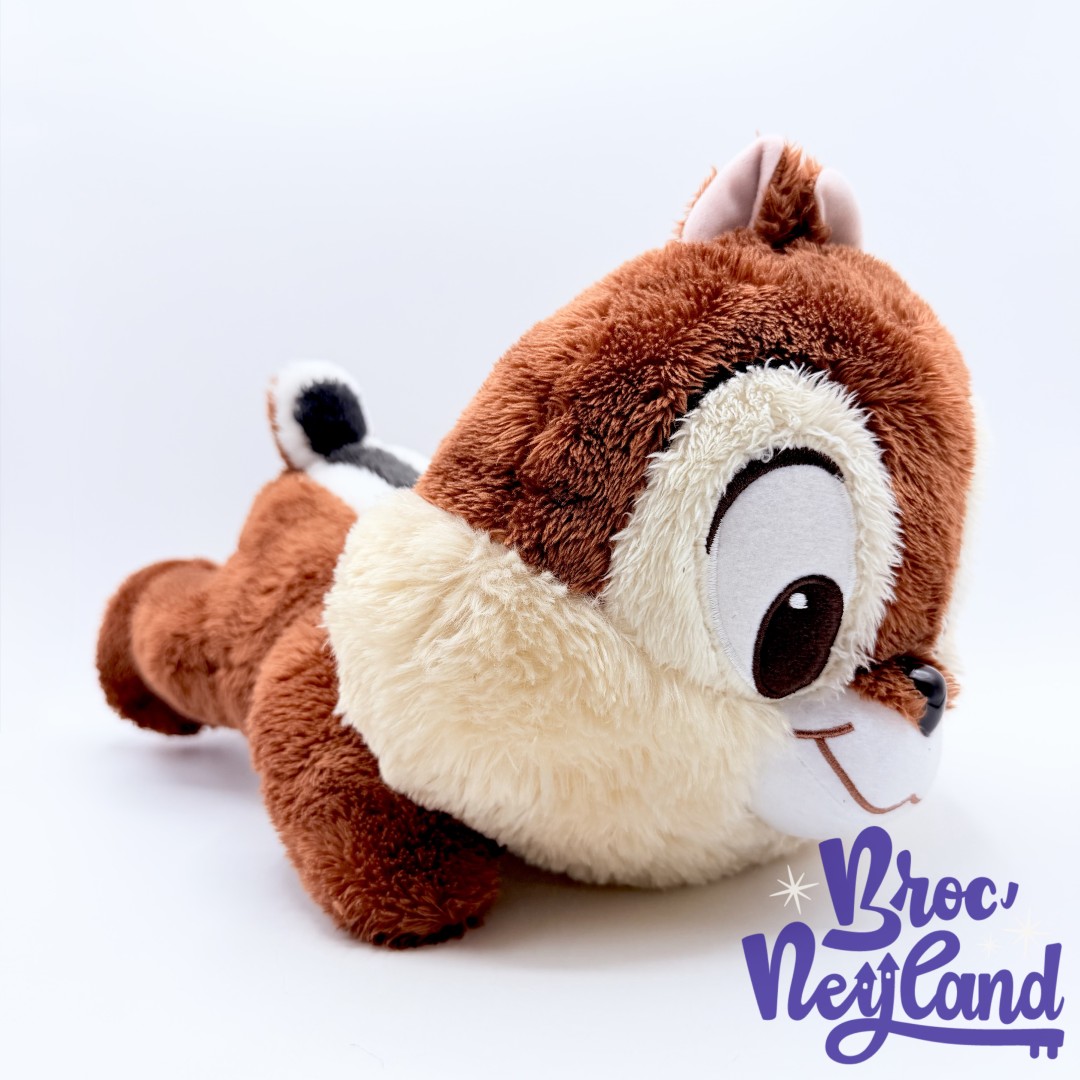 Peluche-Tic-et-Tac-Disney-SEGA-Japon-écureuil-marron-dort-couché-40-cm (5)