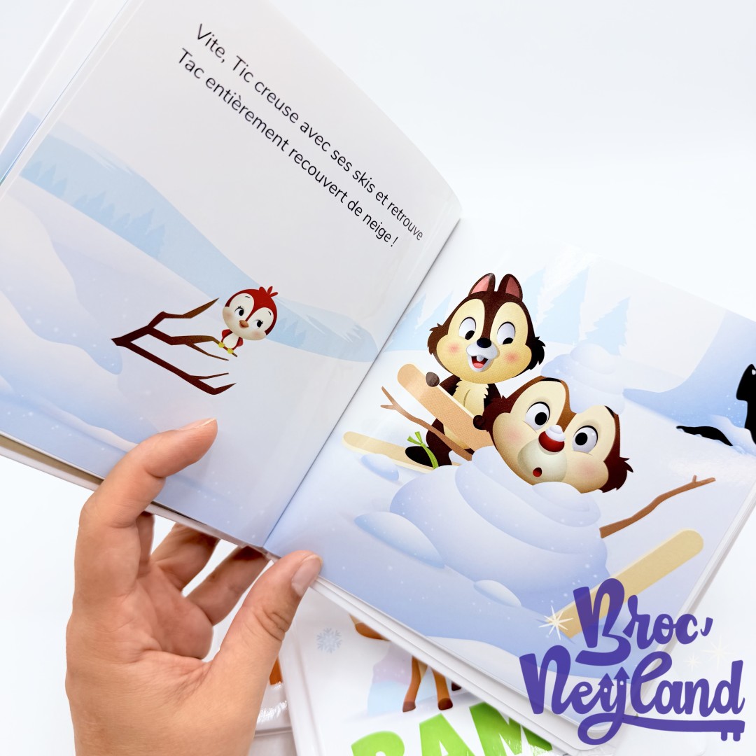 Livres-Mes-Premières-Histoires-Disney-Hachette-Jeunesse (1)
