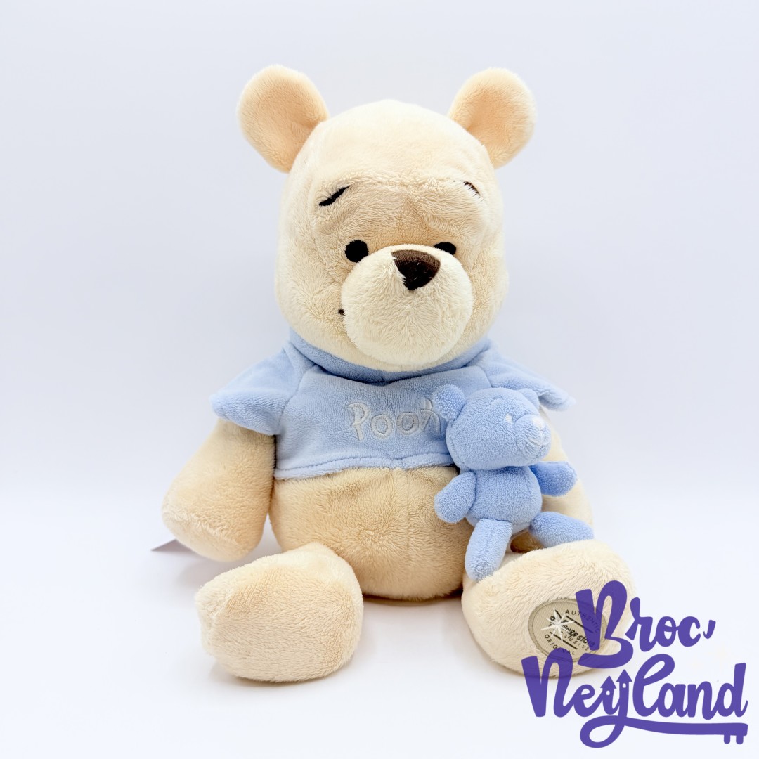 Peluche-Winnie-ourson-doudou-Disney-Store-Exclusive-pastel-écusson-32-cm (4)