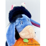 peluche-bourriquet-halloween-2002-disney-store-winnie-ourson-citrouille-fourrure-noir-2