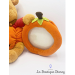 peluche-winnie-ourson-citrouille-halloween-cadre-disney-store-orange-2