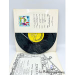 livre-disque-33-tours-pinocchio-disneyland-record-vintage-0