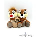 peluche-tic-tac-best-friends-disneyland-disney-écureuil-marron-cacahuete (2)