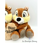 peluche-tic-tac-best-friends-disneyland-disney-écureuil-marron-cacahuete (5)
