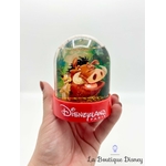 boule-a-neige-le-roi-lion-the-lion-king-disneyland-water-ball-plastique-disney (3)