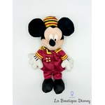 peluche-mickey-hth-groom-disneyland-disney-tour-terreur-hollywood-tower-hotel (4)