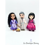 mini-poupées-wish-disney-jakks-asha-dahlia-magnifico-jouet (3)