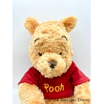 peluche-winnie-doudou-ours-disney-store-ecusson-poils-longs (6)