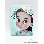 Carnet-Jasmine-Animators-Collection-Disney-Store-Aladdin-cahier-notes (1)