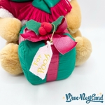 Peluche-Winnie-Ourson-Noël-Disney-Store-cadeau-For-Pooh-28-cm (8)