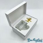 Coffret-Figurine-Tasse-Arribas-Mickey-Mouse-Disneyland-Paris-Disney-Fantasia-château (6)