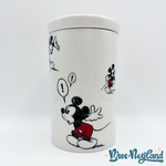 Pot-Mickey-Mouse-BD-Disneyland-Paris-Disney-bocal-épices-pâtes-dessin-bande-dessinée-blanc-rouge (2)
