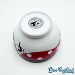 Bol-Minnie-Mouse-Disneyland-Paris-2018-mug-Disney-jupe-pois-rouge (4)