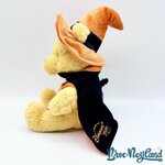 Peluche-Winnie-ourson-Halloween-Disneyland-Paris-Disney-sorcier-chat-noir-25-cm (3)