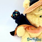 Peluche-Winnie-ourson-Halloween-Disneyland-Paris-Disney-sorcier-chat-noir-25-cm (4)