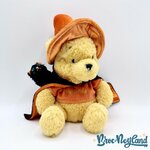 Peluche-Winnie-ourson-Halloween-Disneyland-Paris-Disney-sorcier-chat-noir-25-cm (2)