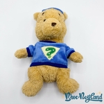 Peluche-Winnie-ourson-Enquêteur-Disney-Store-Playhouse-Mes-amis-Tigrou-et-Winnie-écusson-30-cm (1)