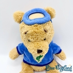 Peluche-Winnie-ourson-Enquêteur-Disney-Store-Playhouse-Mes-amis-Tigrou-et-Winnie-écusson-30-cm (5)