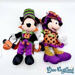 Peluches-Couple-Mickey-Minnie-Halloween-Disney-Parks-Disneyland-citrouille-Trick-or-Treat-32-cm (9)