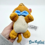 Peluche-Mini-Toulouse-Naïf-Disneyland-Paris-Disney-2020-Les-Aristochats-chat-orange-15-cm (4)