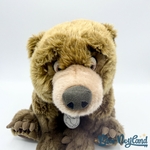 Peluche-Kenaï-Frère-des-Ours-Disneyland-Paris-Disney-ours-marron-collier-28-cm (7)