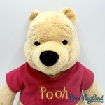 Peluche-Winnie-ourson-classique-Disney-Store-jaune-écusson-34-cm (3)