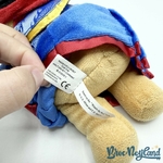 Peluche-Winnie-ourson-Chinois-Panda-Disney-Store-Walt-Disney-Company-collection-bleu-20-cm (4)