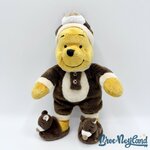 Peluche-Winnie-ourson-Pyjama-Ours-Disneyland-Resort-Paris-Disney-marron-25-cm (5)
