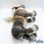 Peluche-Sven-Noël-Disneyland-Paris-2014-Disney-La-Reine-des-Neiges-renne-gris-45-cm (8)