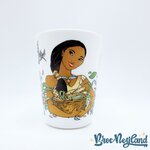 Verre-Pocahontas-Meeko-Disney-Arcopal-vintage (4)