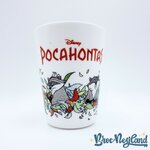 Verre-Pocahontas-Meeko-Disney-Arcopal-vintage (3)