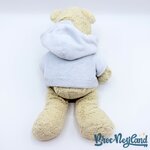 Peluche-Winnie-ourson-pull-bleu-Disney-Store-Exclusive-jaune-écusson-35-cm (2)