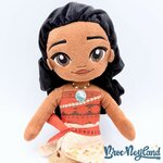 Poupée-chiffon-Vaiana-Disney-Store-2023-peluche-princesse-38-cm (3)