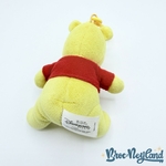 Porte-clés-Winnie-ourson-Disneyland-Paris-Disney-peluche-jaune-12-cm (1)