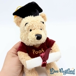 Peluche-Winnie-ourson-Diplôme-Disney-Store-Graduation-Pooh-collection-24-cm (3)