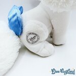 Peluche-Ballerine-Palace-Pets-Cendrillon-Disney-Store-Pumpkin-chien-blanc-écusson-31-cm (3)