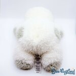 Peluche-Baymax-Cloud-Fluffy-Friends-Disney-Store-Les-Nouveaux-Héros-robot-blanc-poils-longs-46-cm (1)