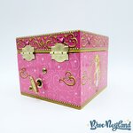 Boite-à-musique-Aurore-La-Belle-au-Bois-Dormant-Disneyland-Paris-Disney-rose-Once-Upon-A-Dream (4)