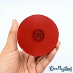 Boule-Noël-Château-Fée-Clochette-Disneyland-Paris-Disney-rouge-vert-ornement-suspension-verre (1)