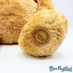Peluche-Winnie-ourson-poils-longs-Disney-Store-jaune-écusson-52-cm (7)
