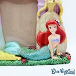 Cadre-photo-Château-Princesses-résine-Disneyland-Paris-Disney-paillettes (6)