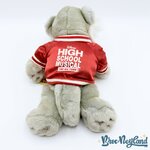 Peluche-Tigre-Mascotte-Wildcats-High-School-Musical-The-Ice-Tour-Disney-30-cm (3)