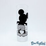 Verre-shooter-Mickey-Mouse-Disneyland-Paris-verre-à-digestif-Disney-shots-noir-blanc (2)