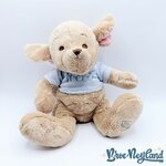 Peluche-Petit-Gourou-Disney-Store-2010-Winnie-ourson-Kangourou-Roo-écusson-36-cm (3)