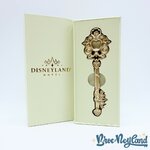 Clé-collector-Disneyland-Hôtel-SUITE-Édition-limitée-Disneyland-Paris-Disney-clé (2)