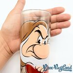Verre-Grincheux-Portrait-Blanche-Neige-et-les-sept-nains-Disneyland-Paris-Disney-marron (1)